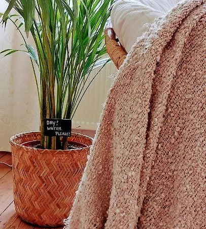 Boho Chic - Your Bohemian In *